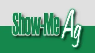 Show-Me Ag #1105 - Beef Cattle