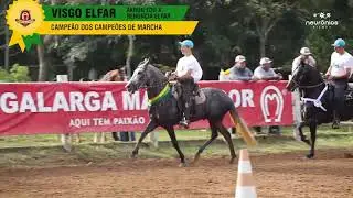 Visgo Elfar, Campe&atilde;o dos Campe&otilde;es de Marcha