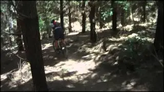 Bright Downhill
