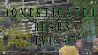Domesticated Bears Live @ Spiderfest 2025