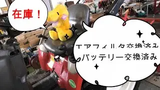 高知店の新相棒参上！！