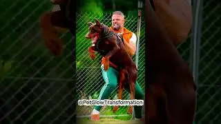 Before & After Animals Growing Up | Amazing Animal Transformation | Animals Grow Up | Part 31