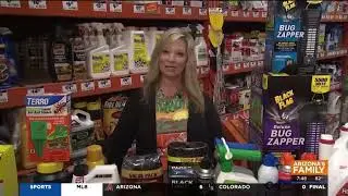 DIY Pest Control - Home Depot Debbie 8/14/2022