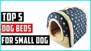 ✅Best dog beds for small dog | Top 5 dog beds On Aliexpress |