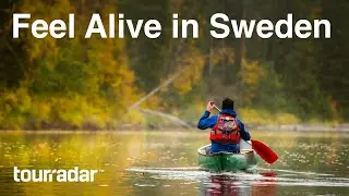 Feel Alive in Sweden