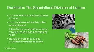 Functionalist views of the role of education
