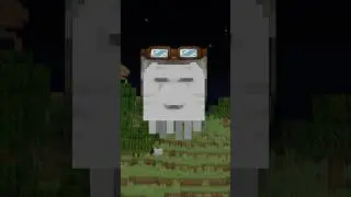 What if Minecraft Added Rideable Phantoms?