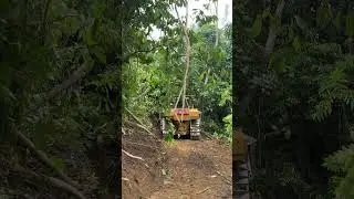 Maximize Your Palm Oil Production with the D6R XL Bulldozer