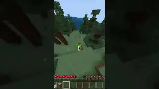 This Rare Cape in Minecraft Took Four Years!