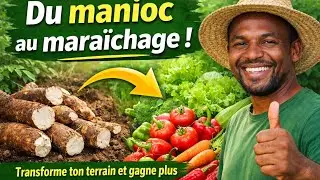 Comment Transformer Votre Terrain en Jardin Mara&icirc;cher Rentable &ndash; M&ecirc;me si Vous Aviez du Manioc ! 
