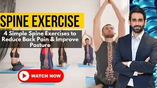 Spine Care at Home: Exercises You Must Do Daily | Silver Healing | Dr.Dheeraj Batheja