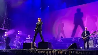 Pulp - Pink Glove (live) Mexico City