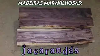 DUAS RARIDADES DA NATUREZA: Jacarandá Violeta & Jacarandá Caviúna - Canal do Banda