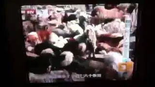 Chinese Animal Rescue