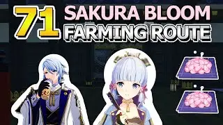 71 Sakura Bloom Locations Quick Farming Route + Maps  | Genshin Impact 2.6