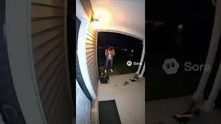 Ring Cam засняла, как меня обрызгивает 🦨💨🤦🏻&zwj;♂️ #дикаяприрода #скунс #нереально #ringcamera