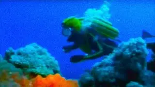 SPIRITFLESH - OCEAN MACHINE
