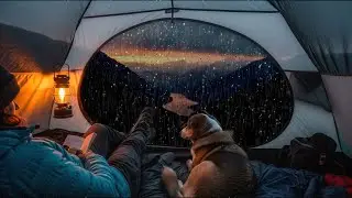 Rainforest Rain Sounds at Night 🌿 | Soft Rain on Tent for Deep Sleep & Calm Mind