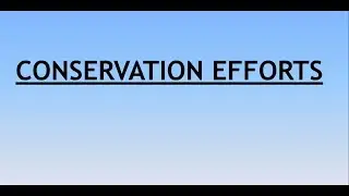 Environment and Ecology Lecture 10.3 || Conservation Efforts