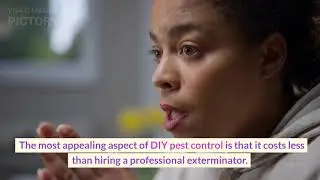 Safeguard Your Home with Proven Pest Control Solutions