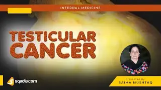Testicular Cancer | Introduction