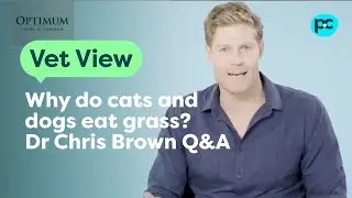 Dr Chris Brown Q&A: Why do #cats and dogs eat grass? | PET CIRCLE