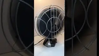 Wagner Oscillating  Electric Fan