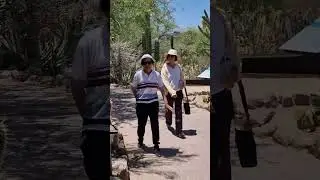 summer，2024，Phoenix，zoo