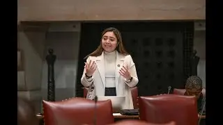 NY State Senator Kristen Gonzalez speaks before the passing of her government use of AI bill
