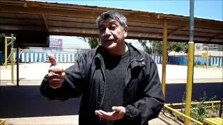 cancion vivir la vida (Lengua de Señas Chilena)