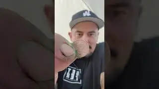 BETTER Chem: Diamond Shine Penny Demo
