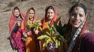 देवभूमि उत्तराखंड देवी देवताओं के दर्शन तथा उनका आशीर्वाद।। कलश यात्रा से चौरासी का शुभारंभ।।