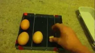 How to make a automatic egg turner for your incubator