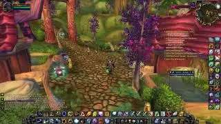 Questing - Shaman Tank - Turtle WoW #1 SpeLL CliCkEr
