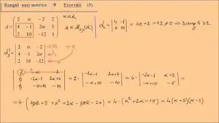 Rangul unei matrice - parametru real (3)