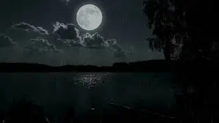 🌕Tranquil Night Rain Beneath the Full Moon Reflection on a Still Lake Surrounded by Whispering Trees