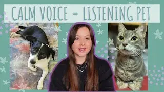 How to get your Dog and Cat to Listen the First Time no yelling needed