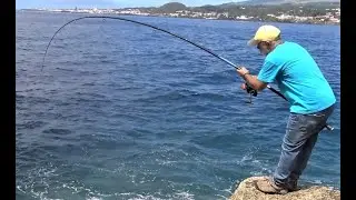 Fishing Gray Triggerfish on the rock /  pesca Peixe-porco nas rochas / الصيد على الصخرة