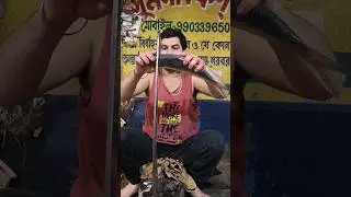 Elisha fish Cutting|Elisha fish cutting skills|Elisha fish Cutting kalkata|California fish grill|