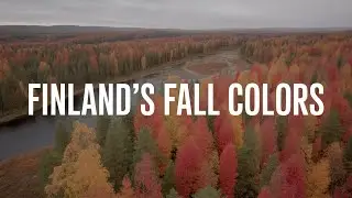 BREATHTAKING Autumn Aerial Footage in Finland's Kauhajoki Region