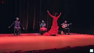 We call it Flamenco...