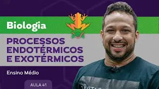 Processos endot&eacute;rmicos e exot&eacute;rmicos​ - Biologia - Ensino M&eacute;dio