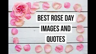 Happy Rose Day 2020 &ndash; Images, Quotes, Wishes, Status