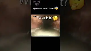 Creepy CREATURE Filmed in Sewer? #Shorts