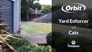 Review: Orbit Yard Enforcer vs Trespassing Cats