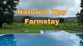 Nature's Way Farmstay