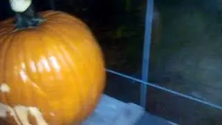 Deep Dish News my Exorcist, Evil Dead and Queen live aid Jack O'Lanterns