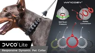 This Changed My Dog&rsquo;s Life: WINCOZY&reg; DYCO&trade; Lite | Responsive Dynamic Pet Collar