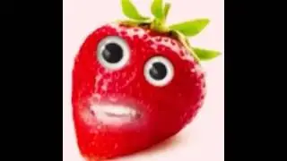 Wotsch FICKE