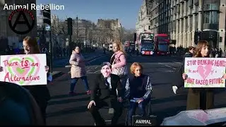 Animal Rebellion block Westminster Bridge (Against government money for animal agriculture)